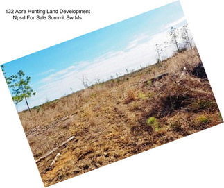 132 Acre Hunting Land Development Npsd For Sale Summit Sw Ms