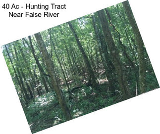40 Ac - Hunting Tract Near False River
