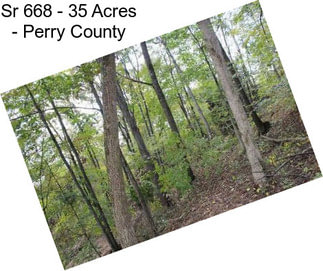 Sr 668 - 35 Acres - Perry County