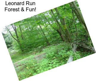 Leonard Run Forest & Fun!