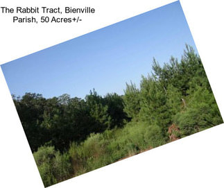 The Rabbit Tract, Bienville Parish, 50 Acres+/-