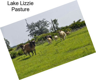 Lake Lizzie Pasture