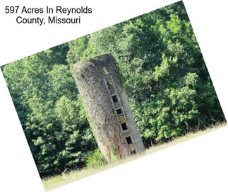 597 Acres In Reynolds County, Missouri