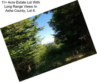 11+ Acre Estate Lot With Long Range Views In Ashe County, Lot 6.