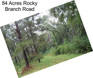 84 Acres Rocky Branch Road