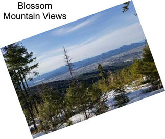 Blossom Mountain Views