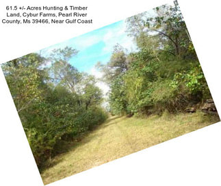 61.5 +/- Acres Hunting & Timber Land, Cybur Farms, Pearl River County, Ms 39466, Near Gulf Coast