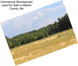 Commercial Development Land For Sale In Marion County, Ms