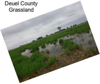 Deuel County Grassland