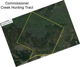 Commissioner Creek Hunting Tract