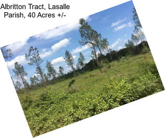 Albritton Tract, Lasalle Parish, 40 Acres +/-