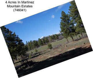4 Acres In Martinez Mountain Estates (746041)