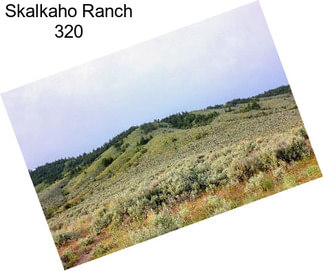 Skalkaho Ranch 320