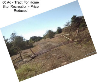 60 Ac - Tract For Home Site, Recreation - Price Reduced