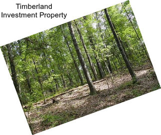 Timberland Investment Property