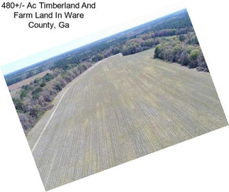 480+/- Ac Timberland And Farm Land In Ware County, Ga