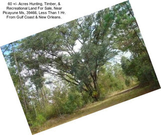 60 +/- Acres Hunting, Timber, & Recreational Land For Sale, Near Picayune Ms, 39466, Less Than 1 Hr. From Gulf Coast & New Orleans.