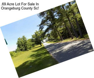 .69 Acre Lot For Sale In Orangeburg County Sc!