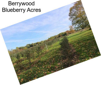 Berrywood Blueberry Acres