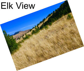 Elk View