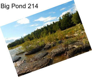 Big Pond 214