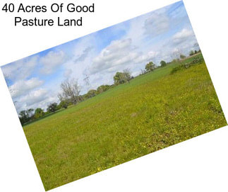 40 Acres Of Good Pasture Land