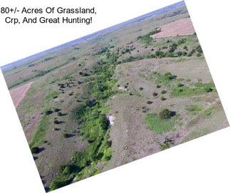 80+/- Acres Of Grassland, Crp, And Great Hunting!