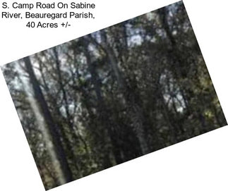 S. Camp Road On Sabine River, Beauregard Parish, 40 Acres +/-