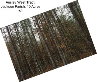 Ansley West Tract, Jackson Parish, 10 Acres +/-