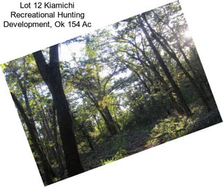Lot 12 Kiamichi Recreational Hunting Development, Ok 154 Ac