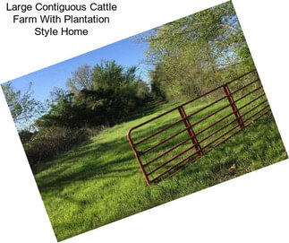 Large Contiguous Cattle Farm With Plantation Style Home