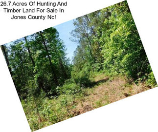 26.7 Acres Of Hunting And Timber Land For Sale In Jones County Nc!