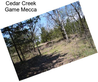 Cedar Creek Game Mecca