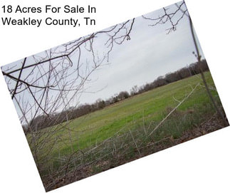18 Acres For Sale In Weakley County, Tn