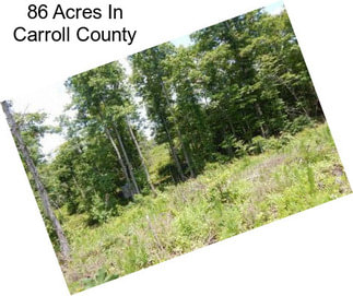 86 Acres In Carroll County