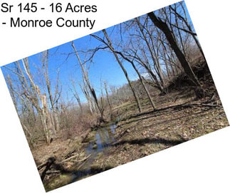 Sr 145 - 16 Acres - Monroe County