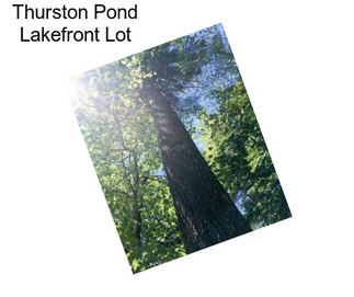 Thurston Pond Lakefront Lot