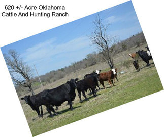 620 +/- Acre Oklahoma Cattle And Hunting Ranch