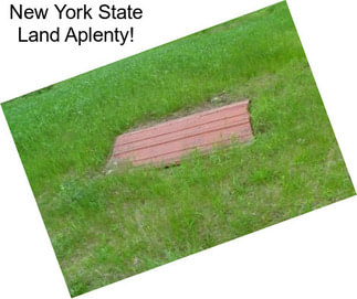 New York State Land Aplenty!