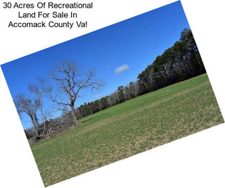 30 Acres Of Recreational Land For Sale In Accomack County Va!
