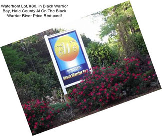 Waterfront Lot, #80, In Black Warrior Bay, Hale County Al On The Black Warrior River Price Reduced!