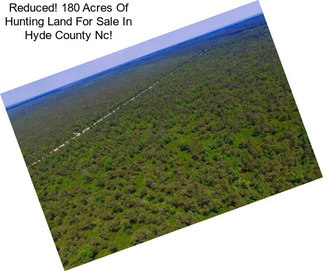 Reduced! 180 Acres Of Hunting Land For Sale In Hyde County Nc!