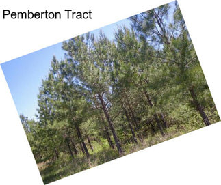 Pemberton Tract