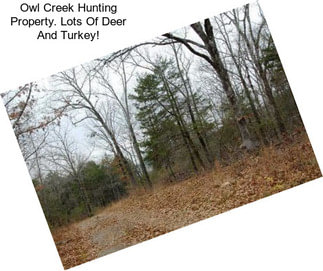 Owl Creek Hunting Property. Lots Of Deer And Turkey!