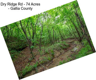 Dry Ridge Rd - 74 Acres - Gallia County