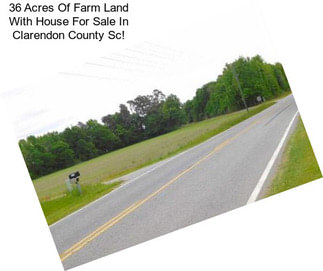 36 Acres Of Farm Land With House For Sale In Clarendon County Sc!