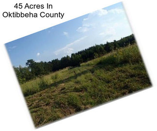 45 Acres In Oktibbeha County