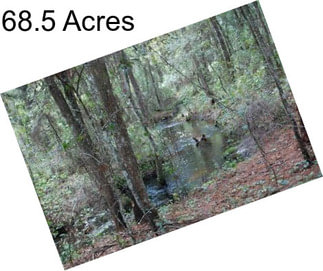 68.5 Acres