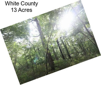 White County 13 Acres