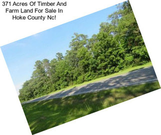 371 Acres Of Timber And Farm Land For Sale In Hoke County Nc!